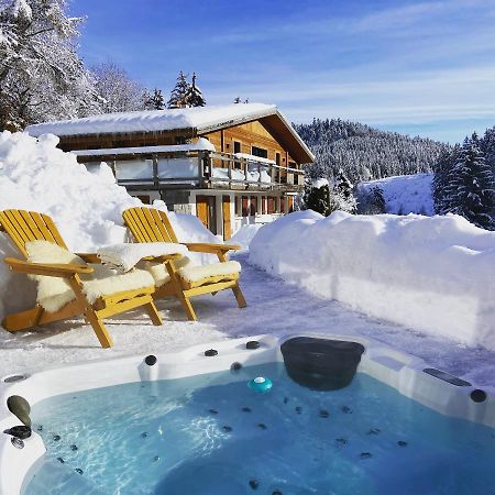 Appartement De Montagne Au Chalet De Snow Xonrupt-Longemer Exterior photo